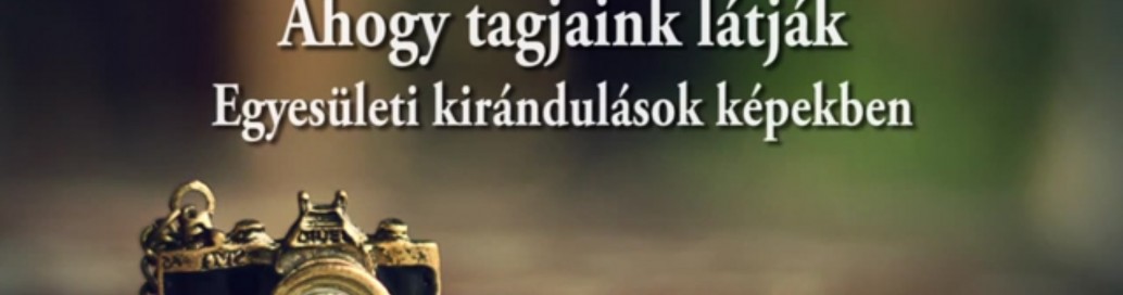 ahogy
