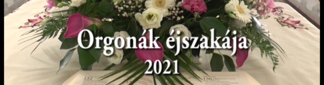Orgonák éjszakája_Moment